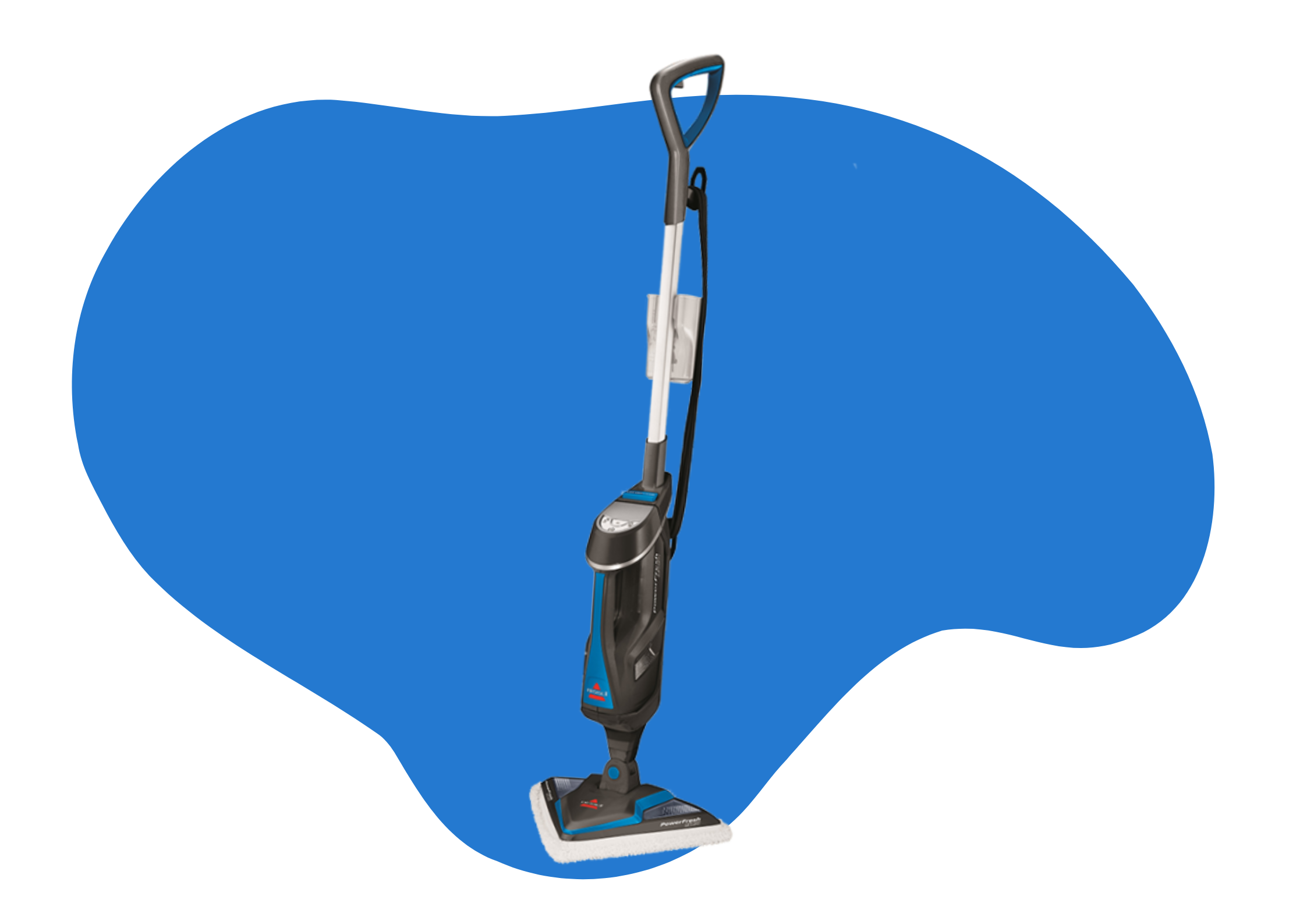 nettoyeur vapeur bissell